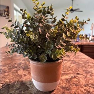 Two-Tone Ceramic Planter with Faux Eucalyptus